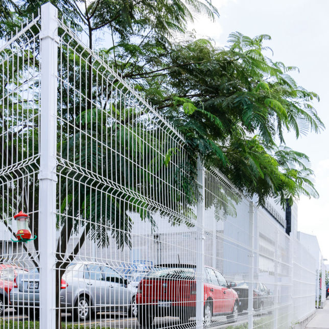 Reja perimetral Palme